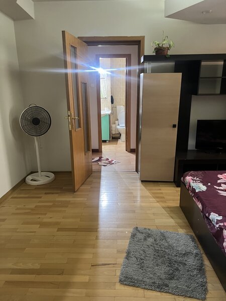 Alexandru Obregia stradal